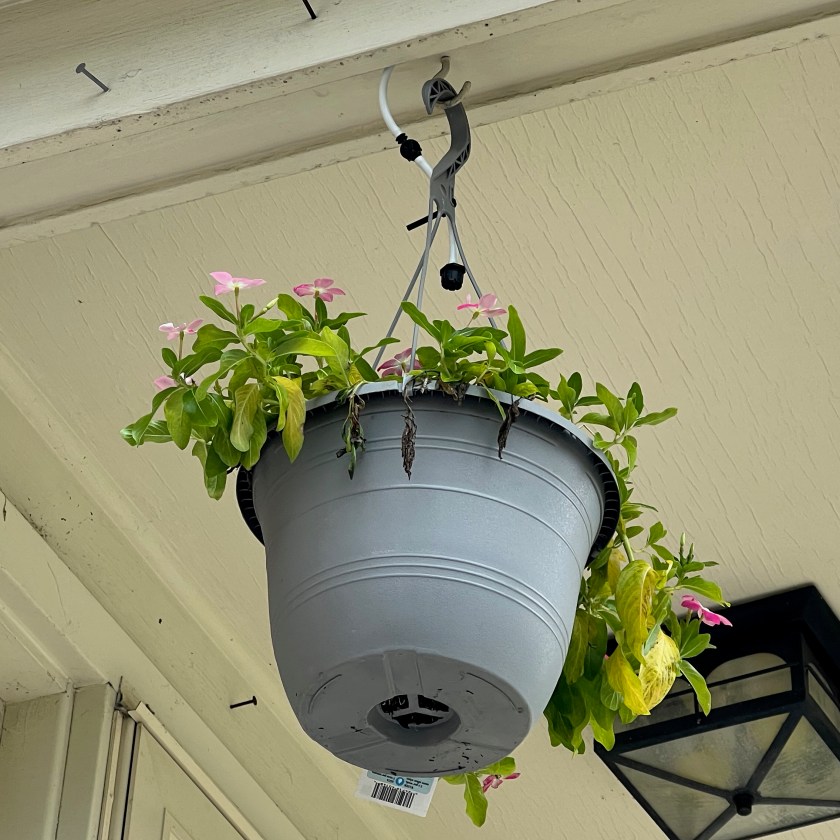 Hanging Pot